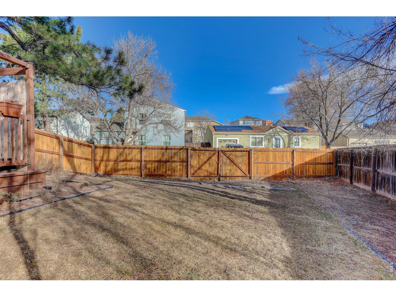 10696 Newcombe Street Westminster, CO 80021 - Photo 32 of 36 a view of backyard with trees
