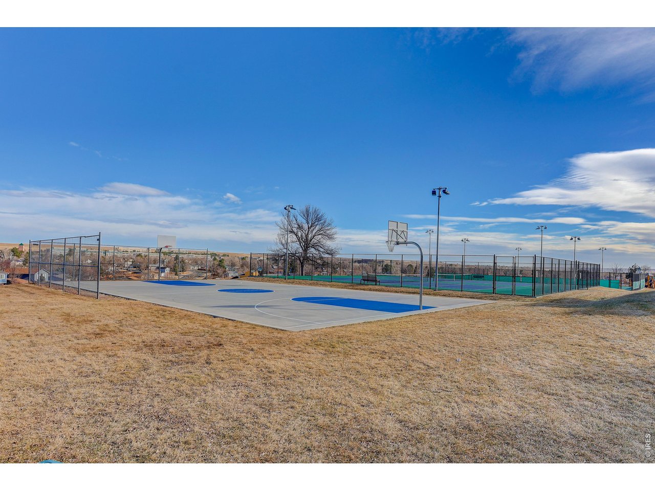 10696 Newcombe Street Westminster, CO 80021 - Photo 34 of 36 a view of swimming pool and lake view