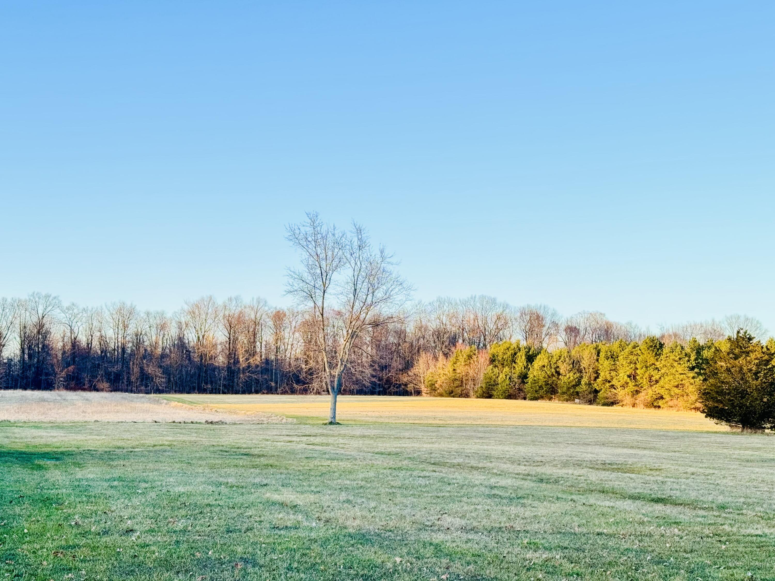 5389 Territorial Road Benton Harbor, MI 49022 - Photo 4 of 19 image_50364417