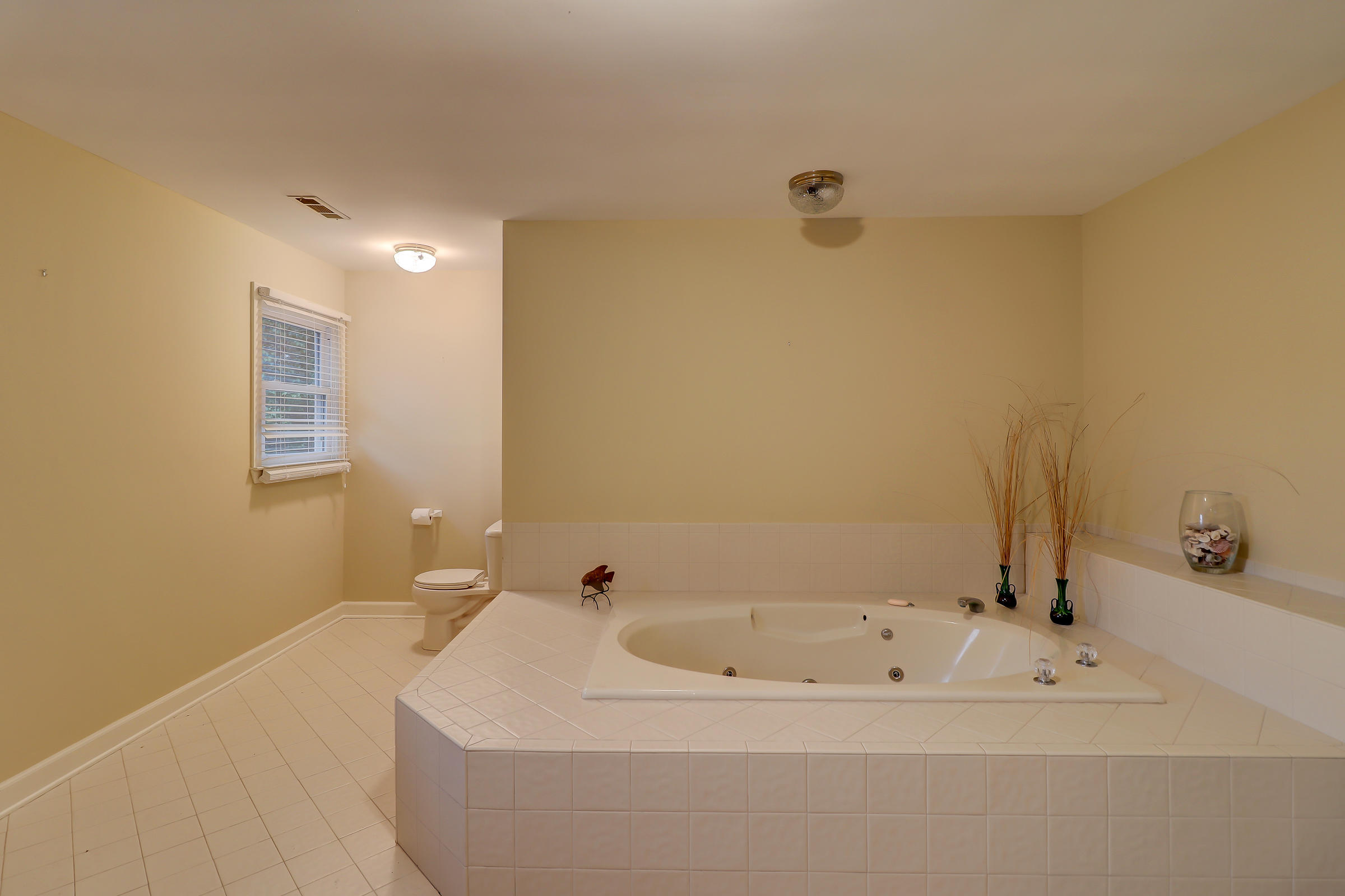 7797 Seafield Road Meggett, SC 29449 - Photo 46 of 91 7797 Seafield Rd_LuxImg_0098