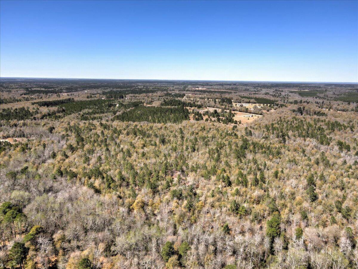40.07-acre Tanglewood Road Williston, SC 29853 - Photo 6 of 9