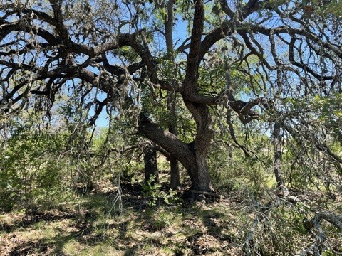 Lot 553 Gauntlet Cir Spring Branch Spring Branch, TX 78070 - Photo 1 of 1