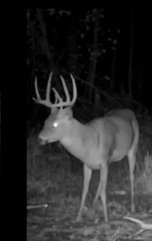 $279,900 | 1440 Dimmers Road, Reading, MI 49274