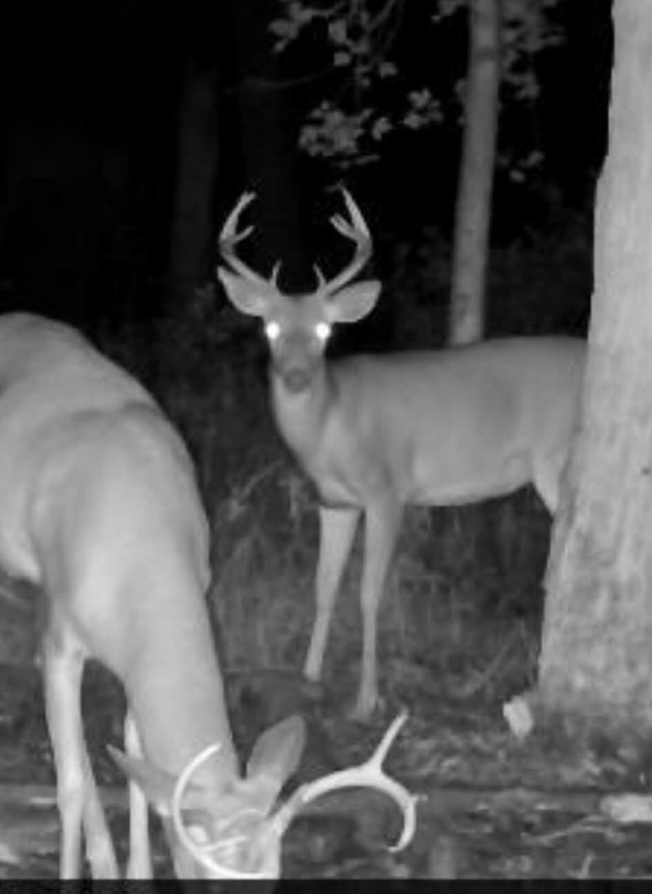 1440 Dimmers Road Reading, MI 49274 - Photo 50 of 61 att.RhT_XNjID9yc1s7VOHdN4EM8T3TFxH2spNUZ