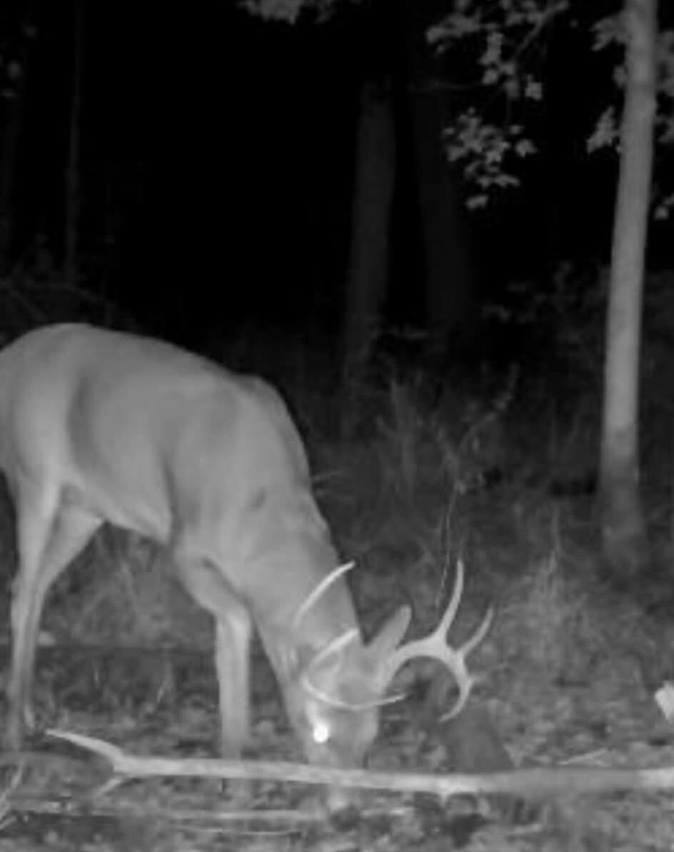 1440 Dimmers Road Reading, MI 49274 - Photo 51 of 61 att.Ue0vQt7rzSurC8gC801re301bELeS7f48I2A