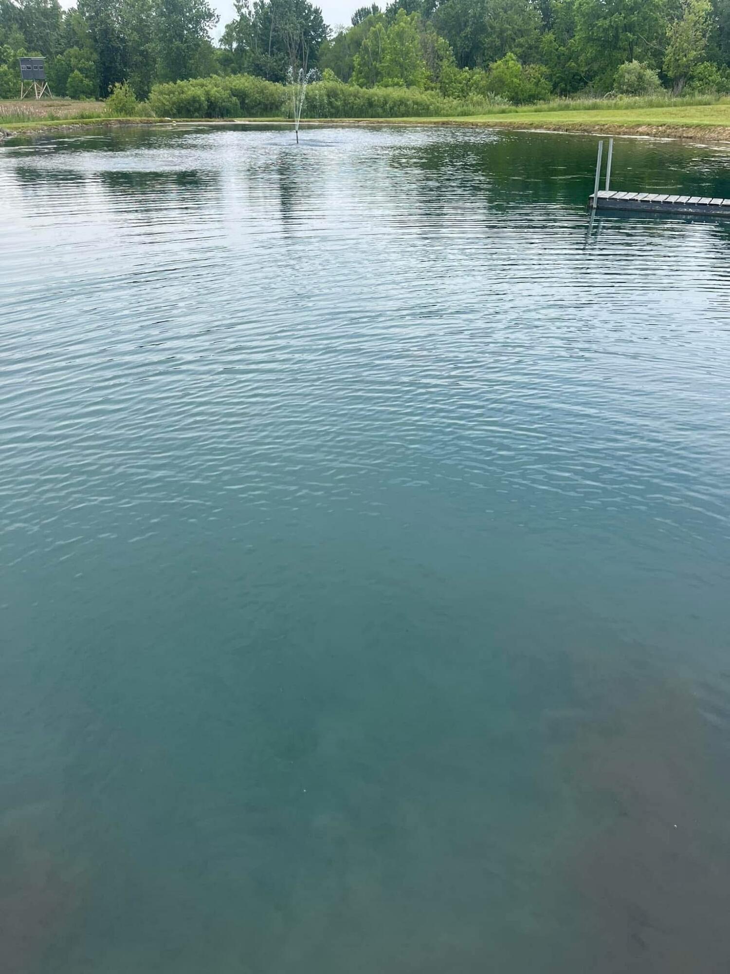 1440 Dimmers Road Reading, MI 49274 - Photo 52 of 61 att.5iK2k2nuj9ALBIGGme1Ek4bjsJGqKhpSWIHi