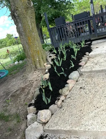 $267,000 | 1440 Dimmers Road, Reading, MI 49274