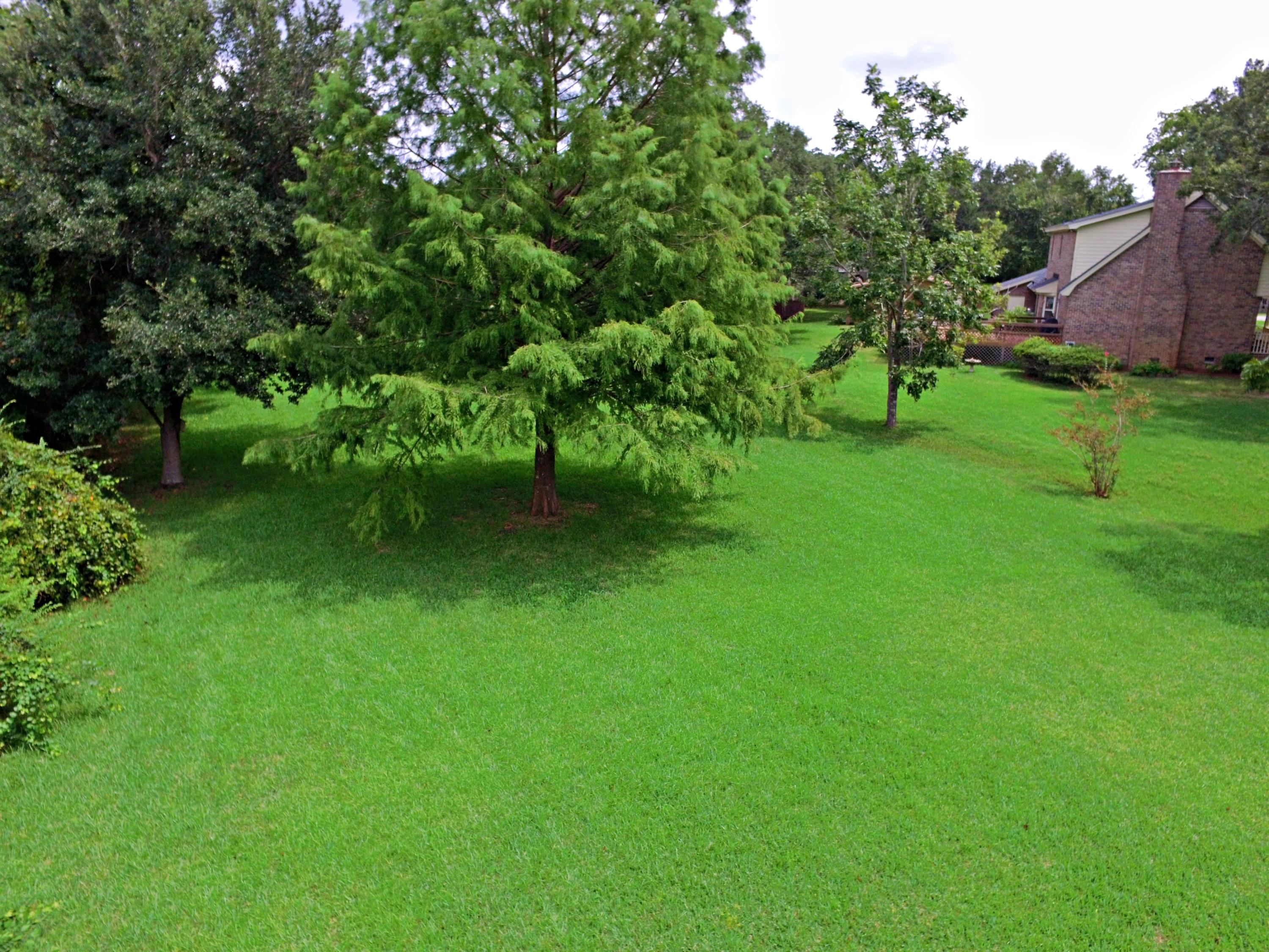 0 Ocean View Road Charleston, SC 29412 - Photo 6 of 16 10