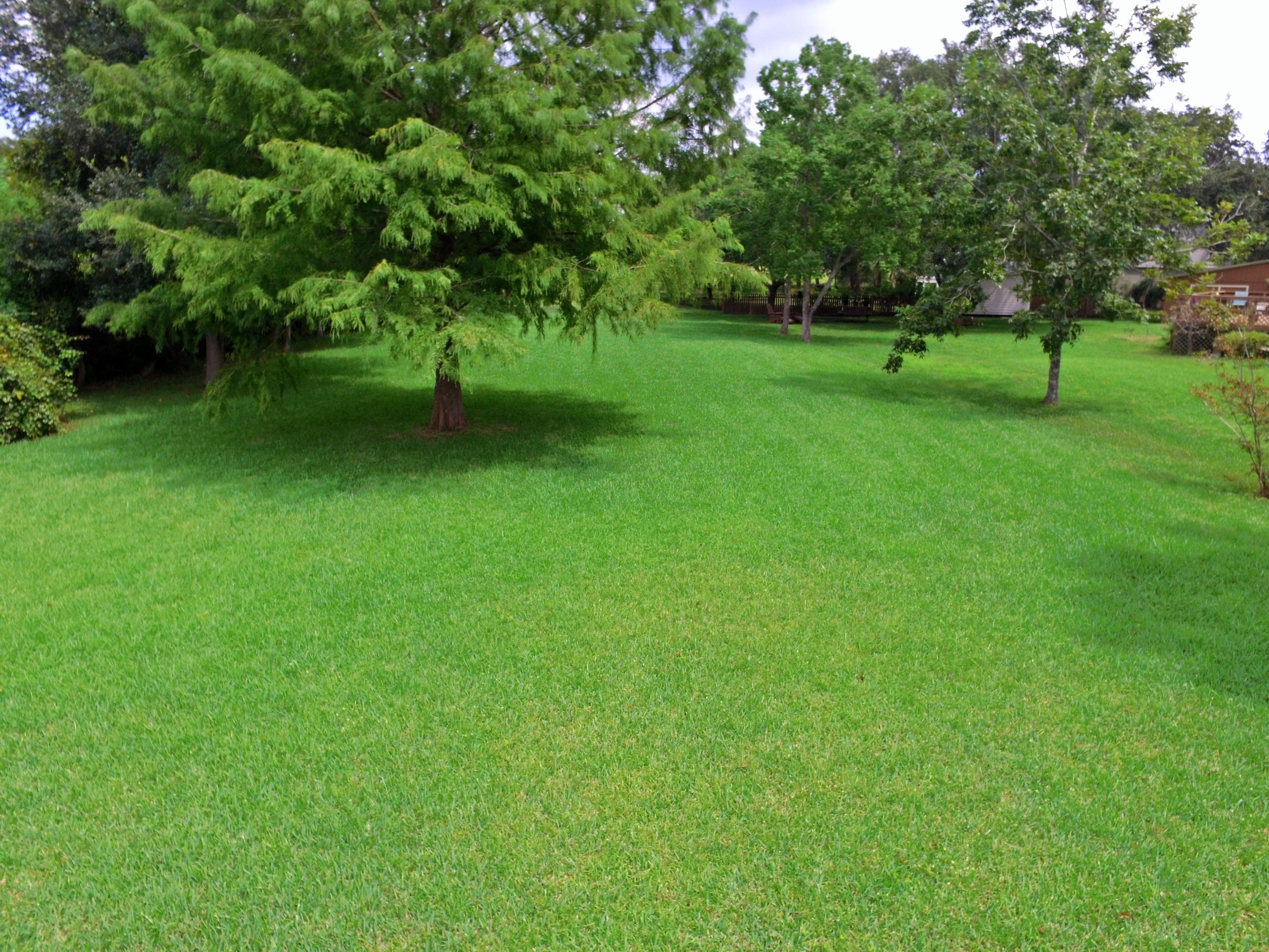 0 Ocean View Road Charleston, SC 29412 - Photo 7 of 16 12