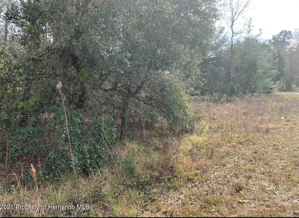 0 Thames Road Weeki Wachee, FL 34614 - Photo 1 of 1 Gallery Image 1