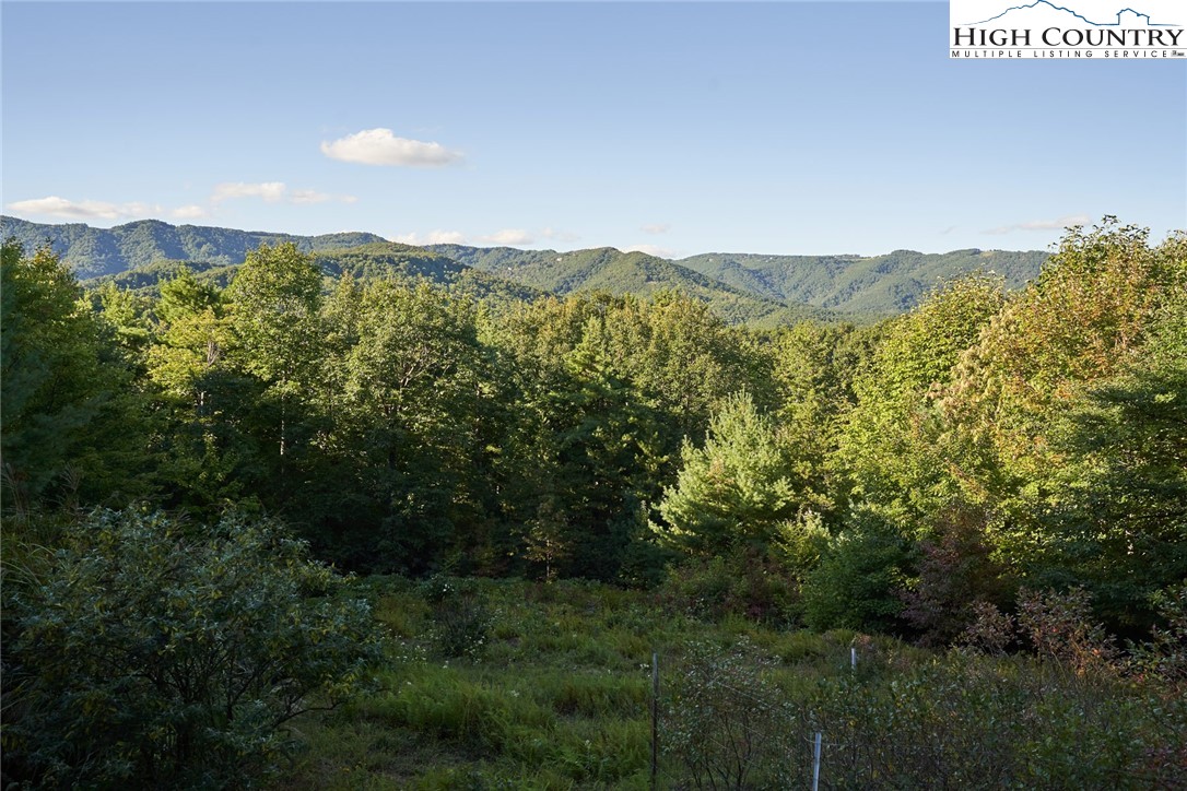 9264 Headwaters Road Lenoir, NC 28645 - Photo 30 of 36 Gallery Image 30