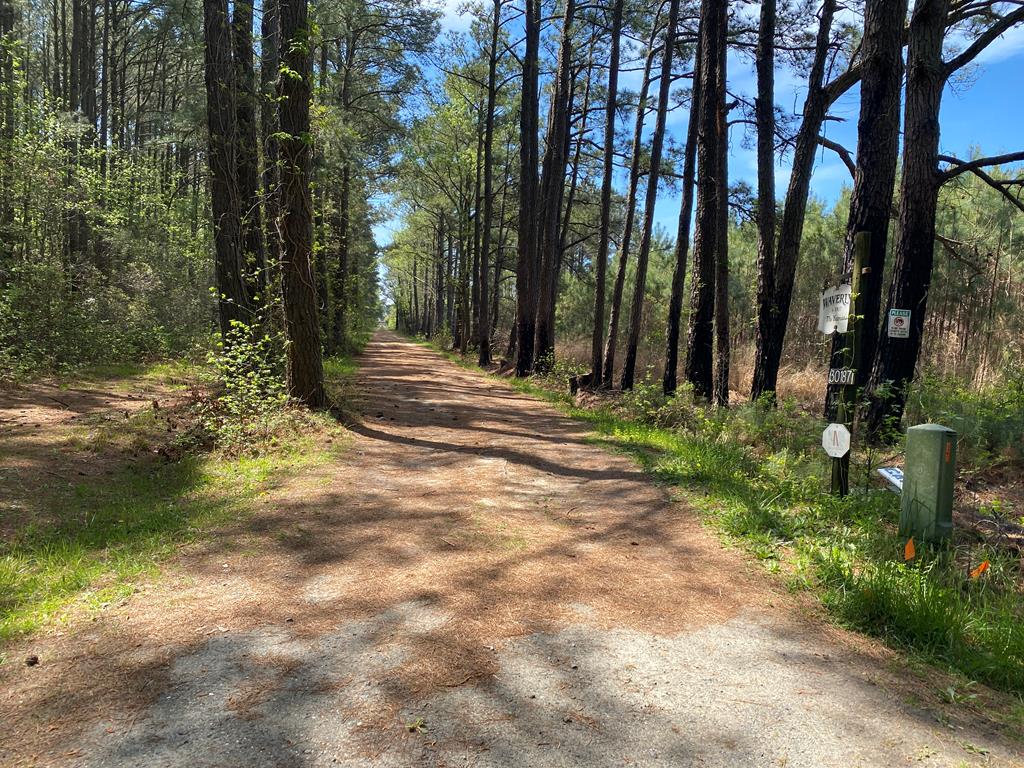 Lot 55 Back Creek Road, Unit 55B Hacksneck, VA 23358 - Photo 2 of 20