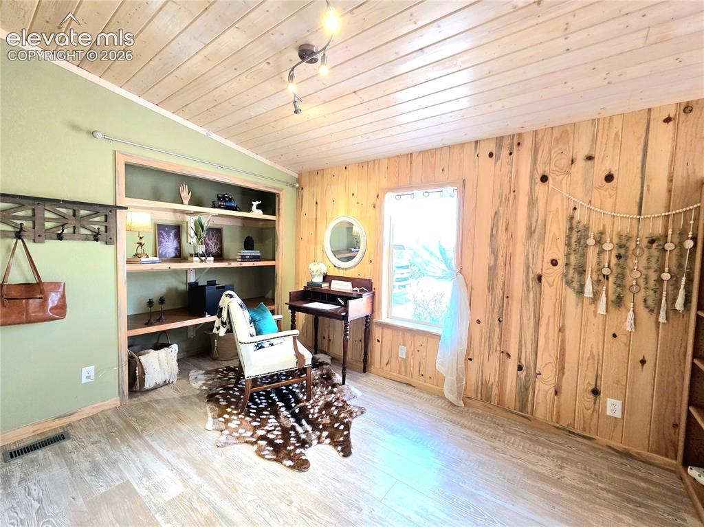 891 North Mountain Estates Road Florissant, CO 80816 - Photo 23 of 49