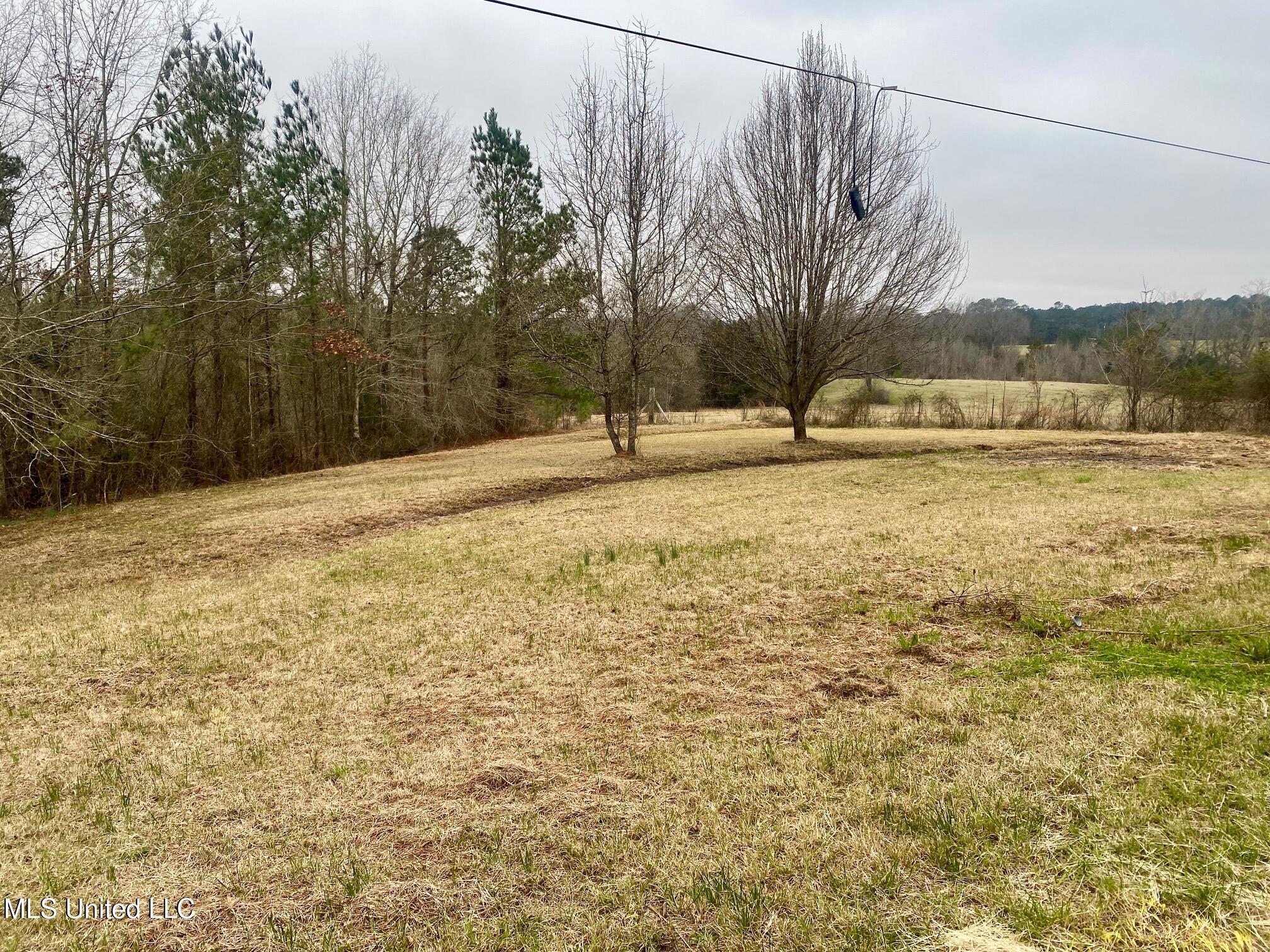 1751 Ealy Road Lena, MS 39094 - Photo 5 of 19 IMG_9258