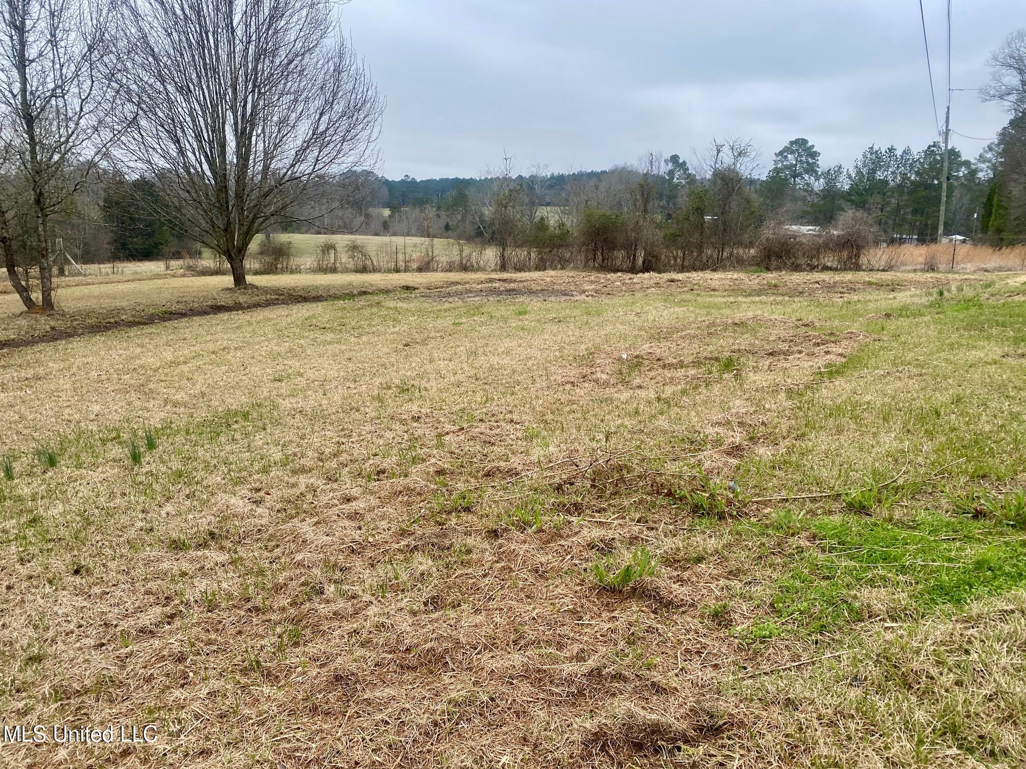 1751 Ealy Road Lena, MS 39094 - Photo 6 of 19 IMG_9259