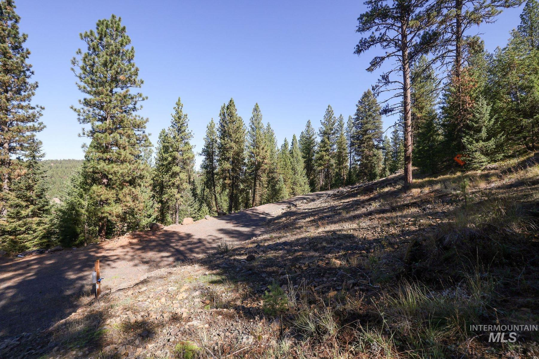 Lot 22 Rim Road New Meadows, ID 83654 - Photo 33 of 49
