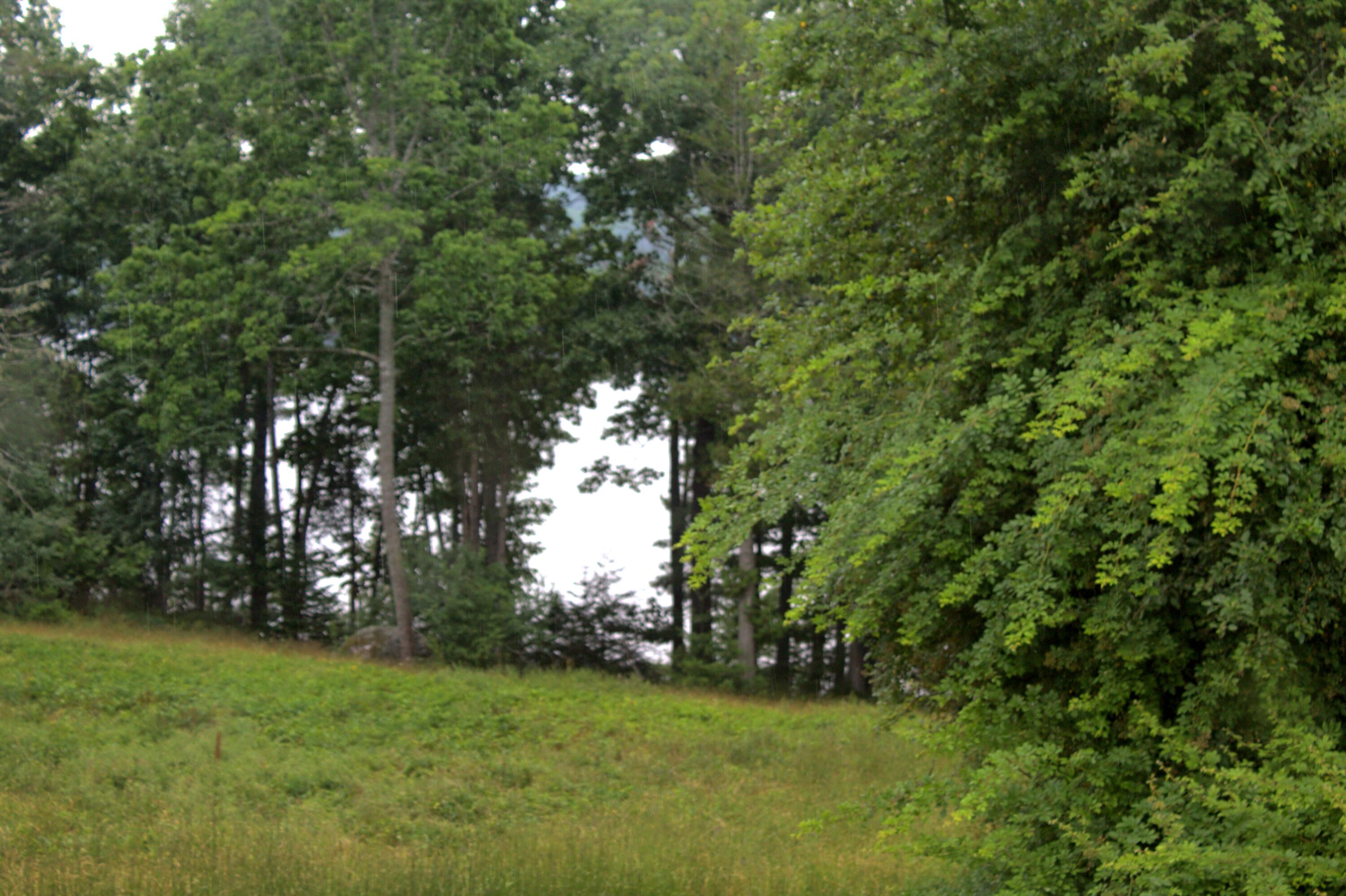 Undisclosed Address Orland, ME 04472 - Photo 6 of 35 view