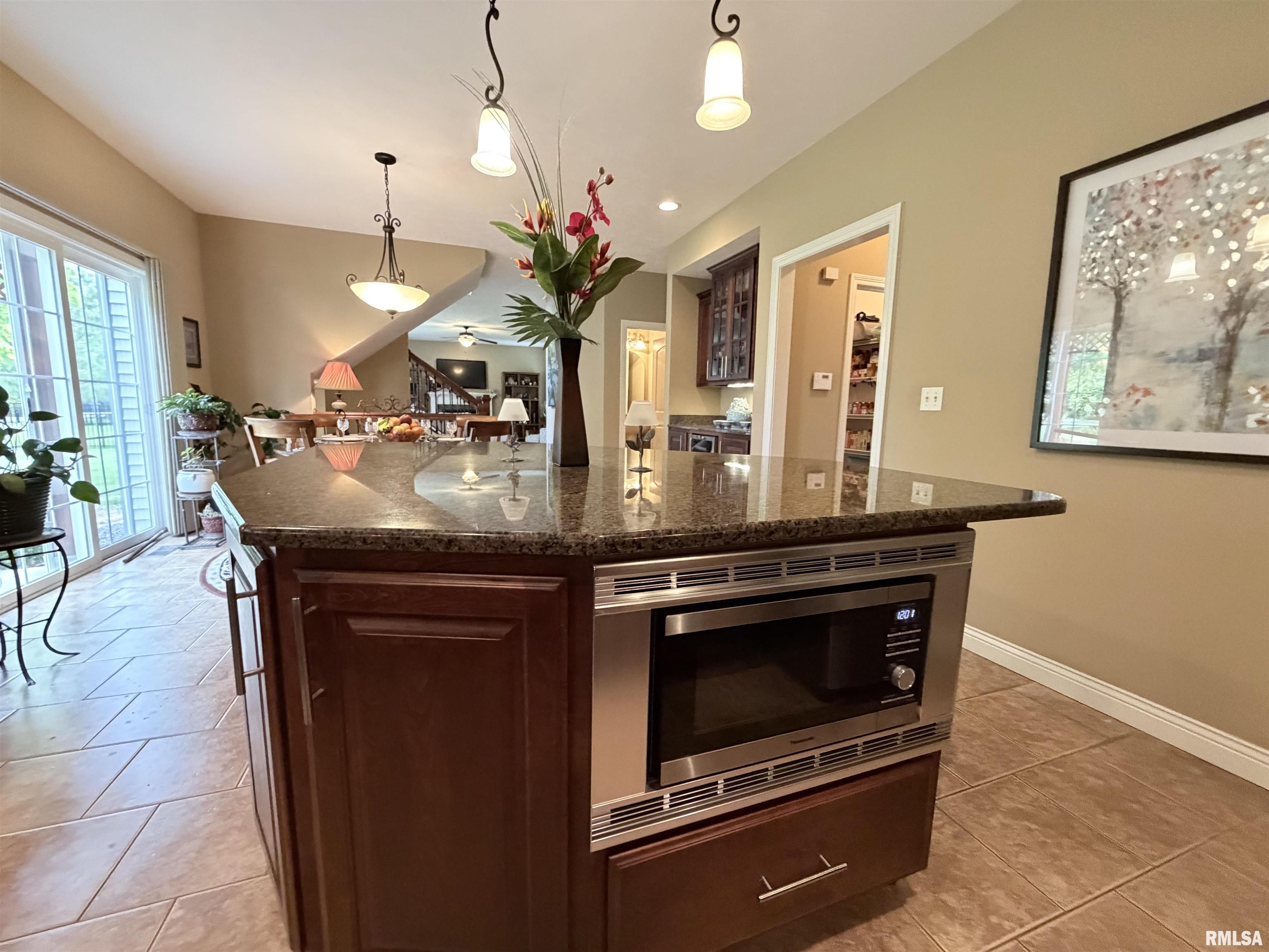 11003 Moonstone Court Dunlap, IL 61525 - Photo 32 of 78