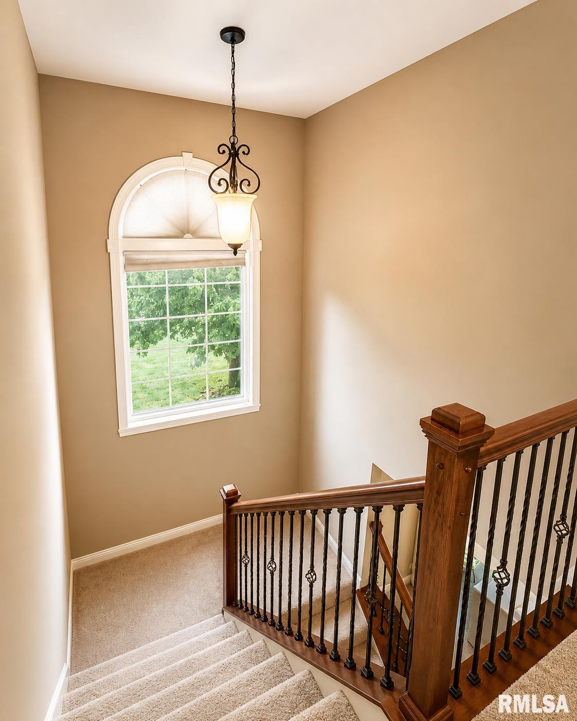 11003 Moonstone Court Dunlap, IL 61525 - Photo 36 of 78