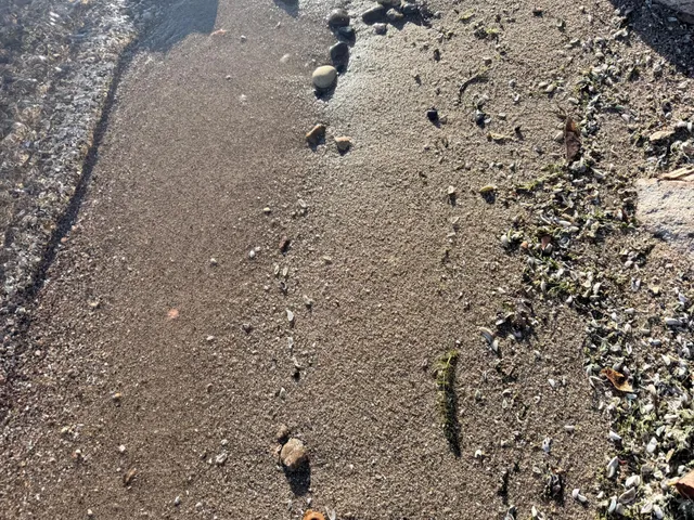 $4,500,000 | 22558 Senns Beach Drive, Detroit Lakes, MN 56501