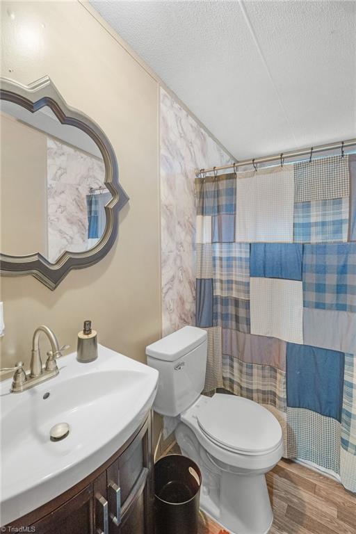 114 Echo Hollar Road Westfield, NC 27053 - Photo 11 of 17