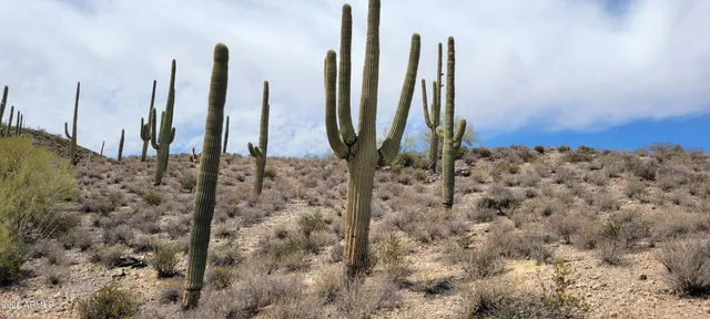a view of a backyard of the house