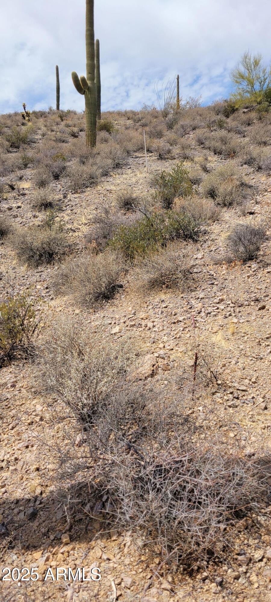 4790 North El Adobe Ranch Road Tucson, AZ 85745 - Photo 19 of 26 a view of a dry field with wooden fence