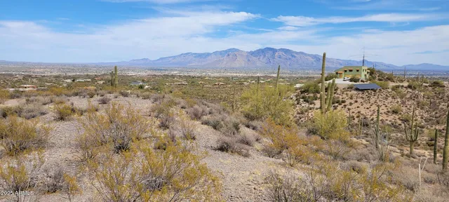 a view of a dry yard