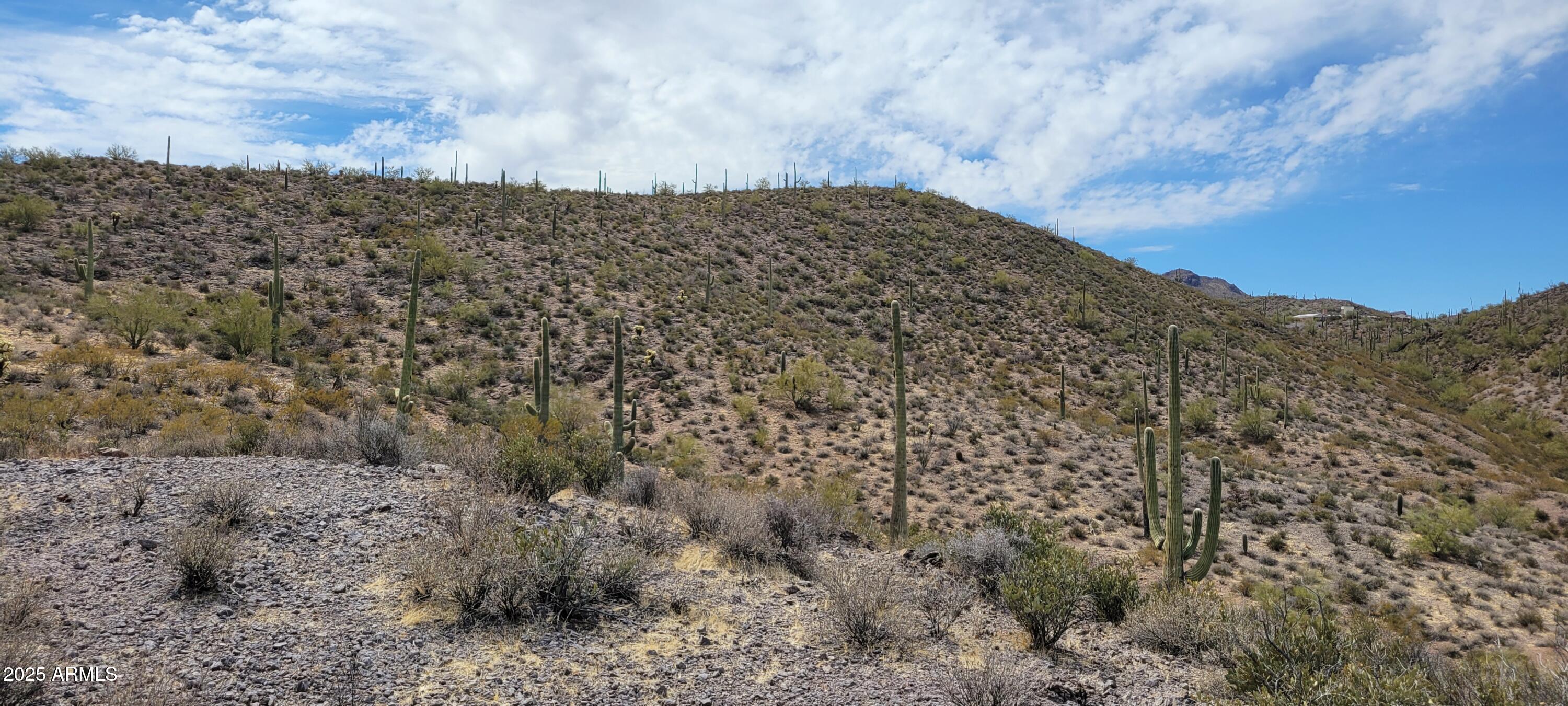 4790 North El Adobe Ranch Road Tucson, AZ 85745 - Photo 23 of 26 a view of a dry yard