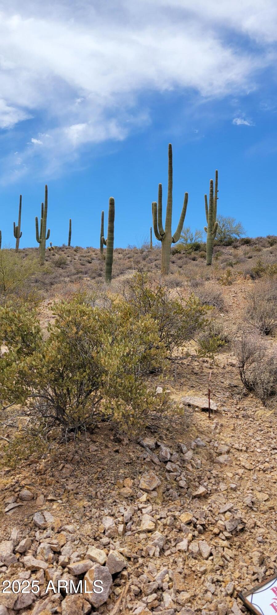 4790 North El Adobe Ranch Road Tucson, AZ 85745 - Photo 24 of 26 a view of a sky view