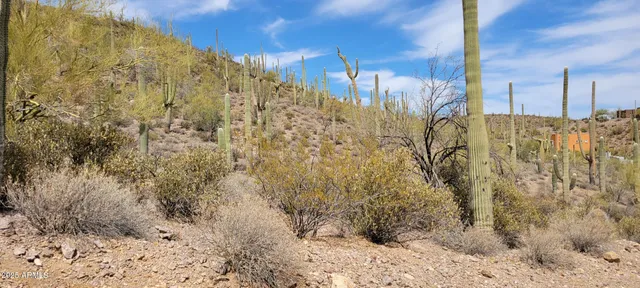 a view of a bathroom shower and a mountain view