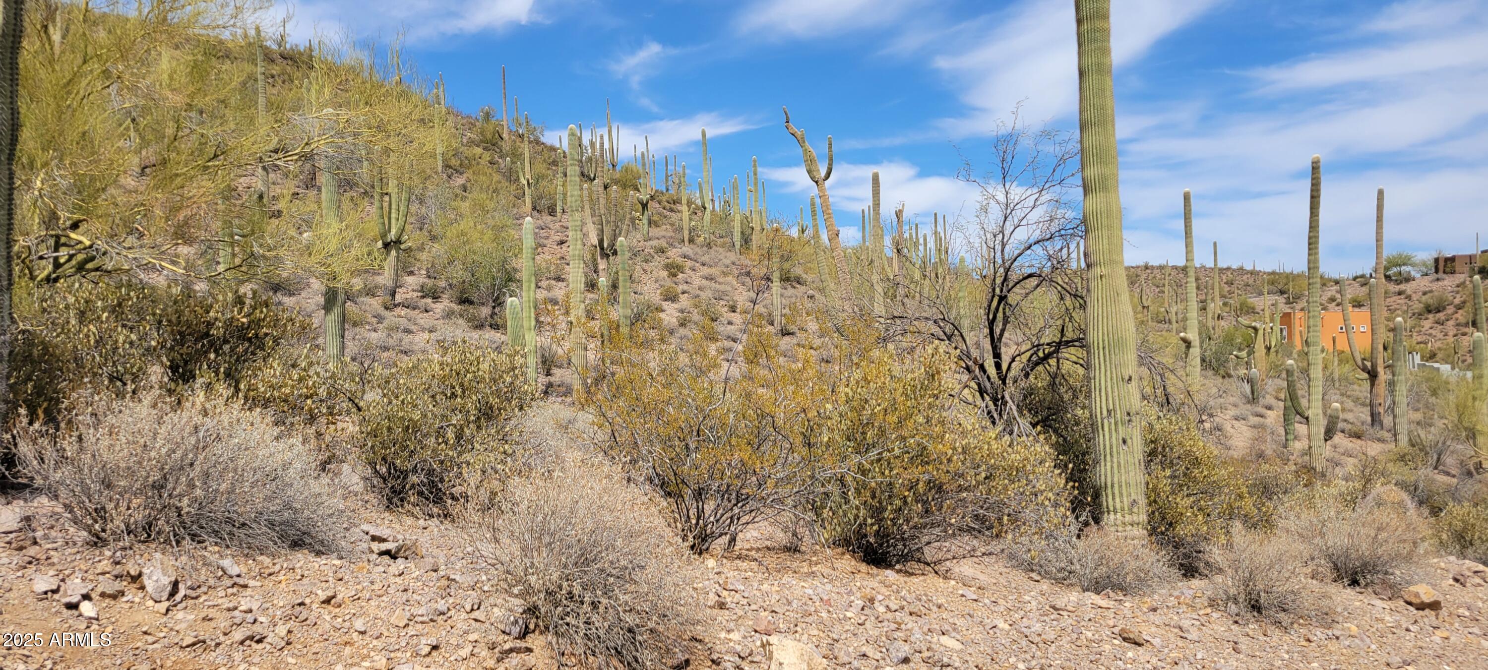 4790 North El Adobe Ranch Road Tucson, AZ 85745 - Photo 4 of 26 a view of a bathroom shower and a mountain view