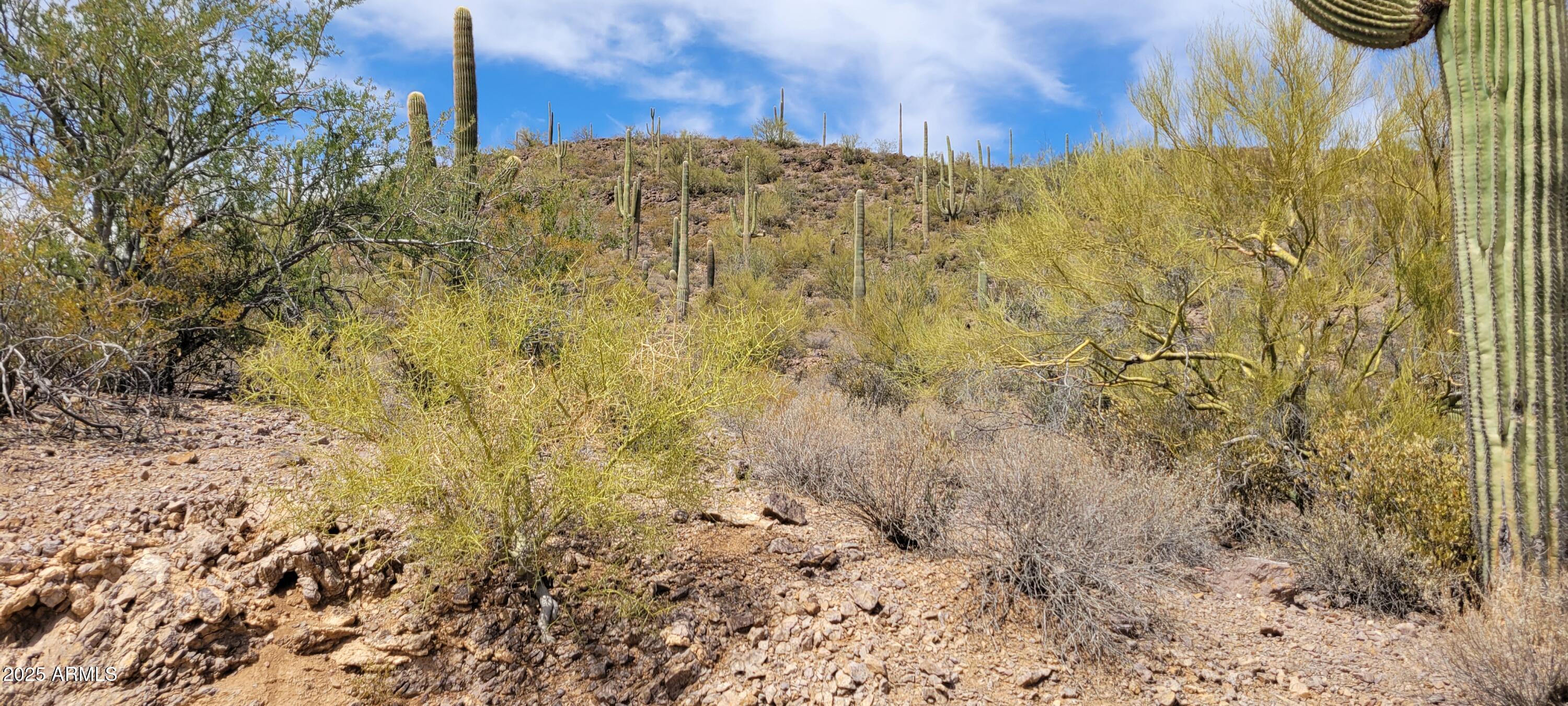 4790 North El Adobe Ranch Road Tucson, AZ 85745 - Photo 5 of 26 a view of a dry yard