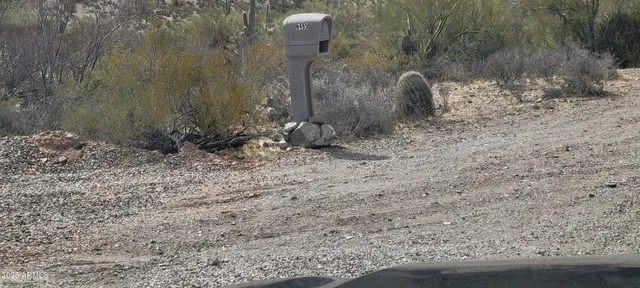 a view of a dry yard with trees