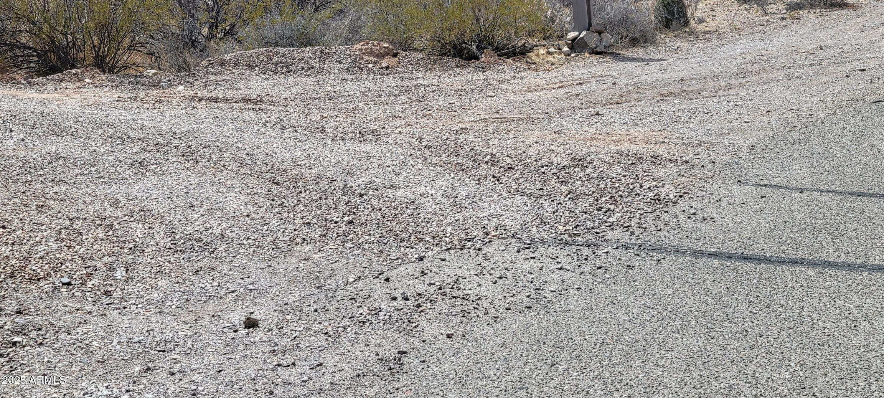 4790 North El Adobe Ranch Road Tucson, AZ 85745 - Photo 9 of 26 a view of a dry yard with trees