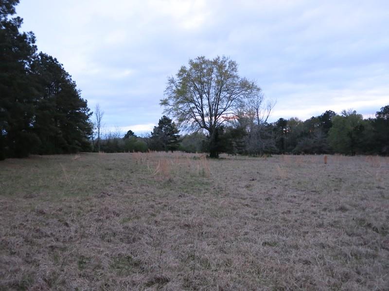 0 Mims Road Robeline, LA 71469 - Photo 2 of 2 Gallery Image 2