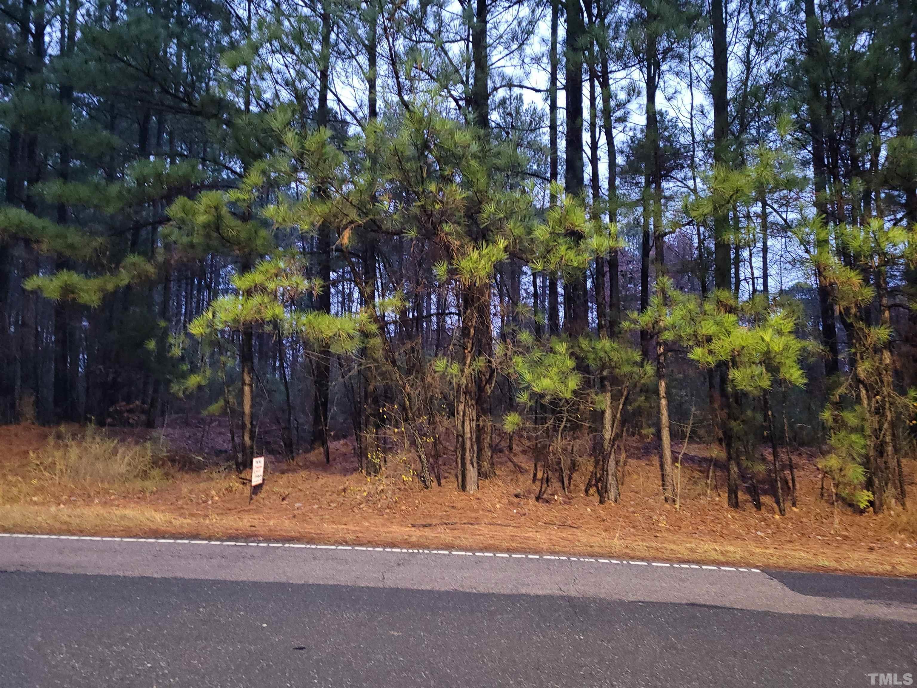 4916 Fayetteville Road Durham, NC 27713 - Photo 3 of 3 a view of street along with trees