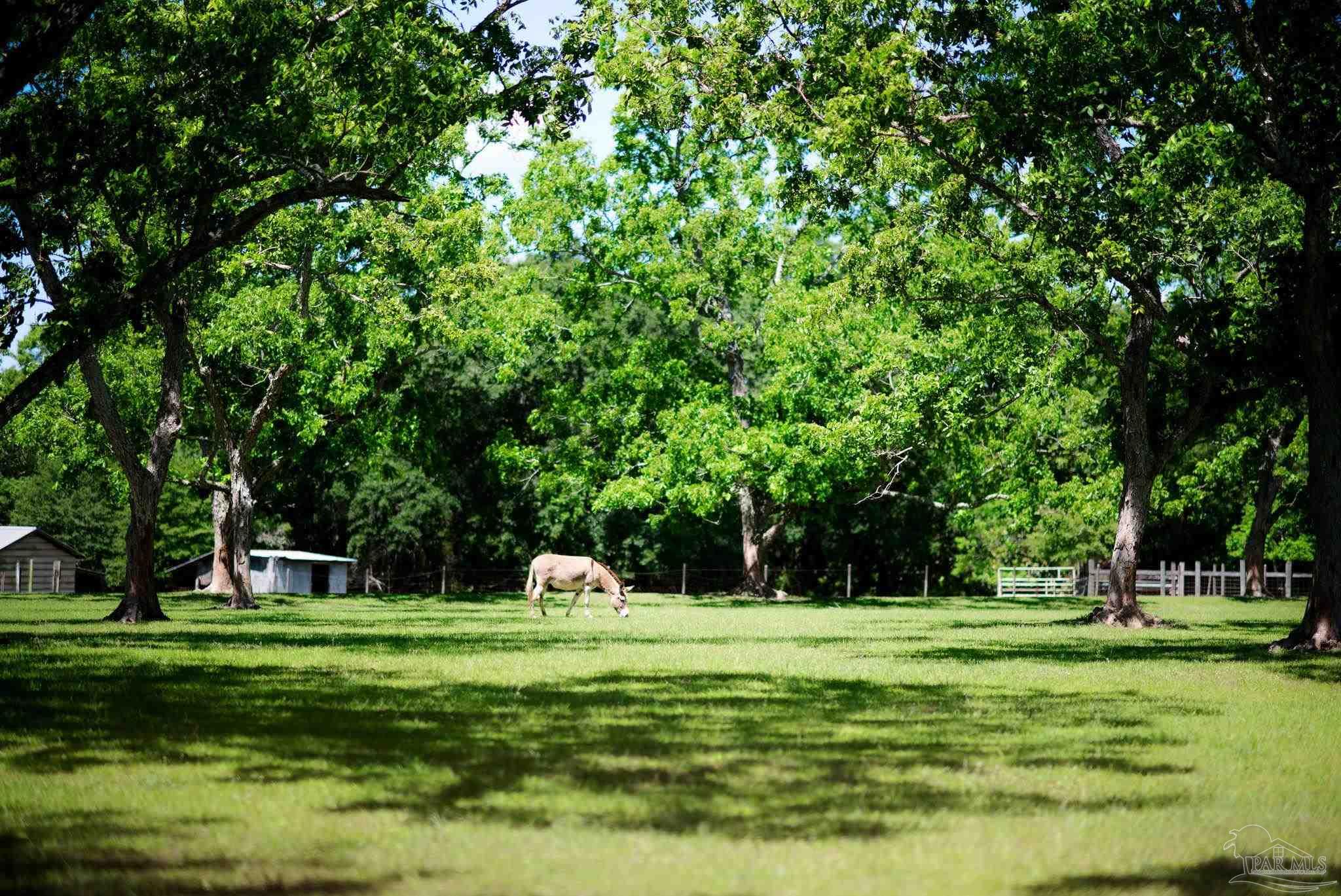 2001 Chavers Road Cantonment, FL 32533 - Photo 26 of 64