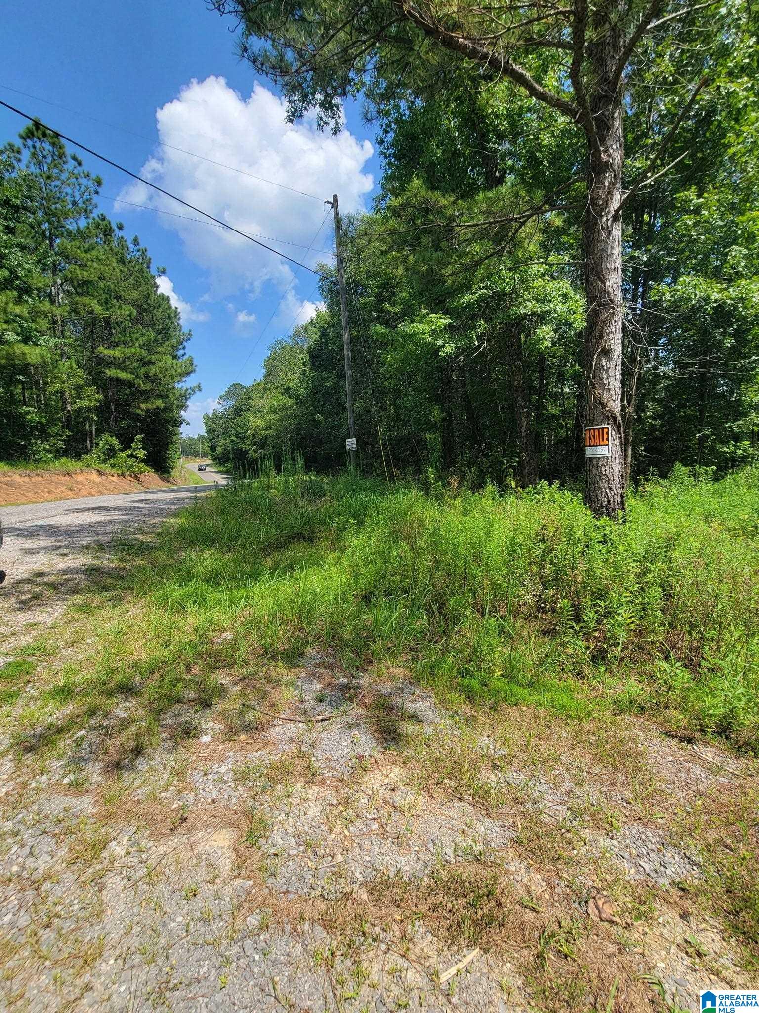 499 Sweet Apple Road Cropwell, AL 35054 - Photo 1 of 9