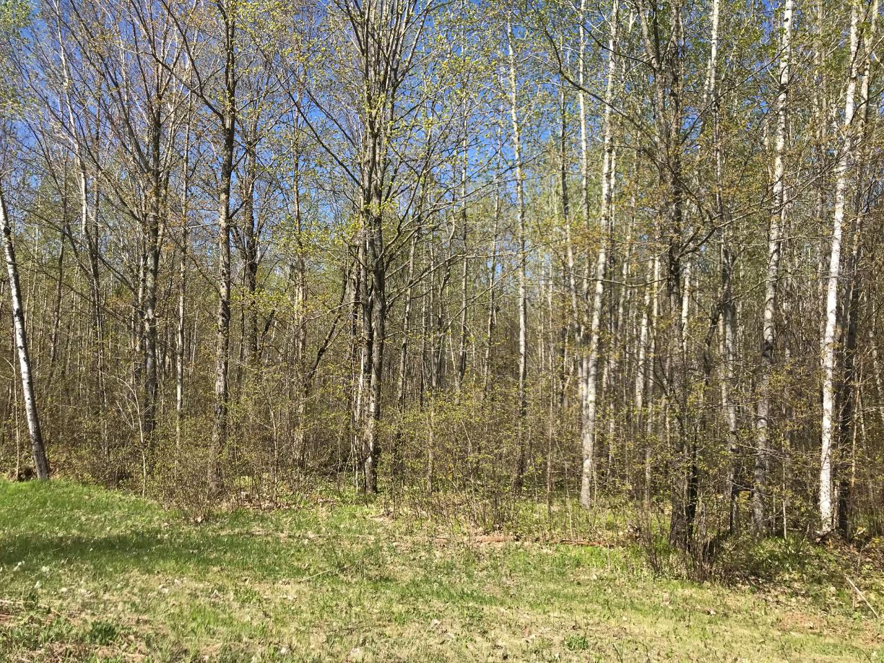 On Glacier Ridge Road, Unit 8 1 ACRES Crandon, WI 54520 - Photo 3 of 5 Gallery Image 3