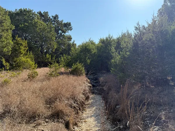 a view of a yard with a tree