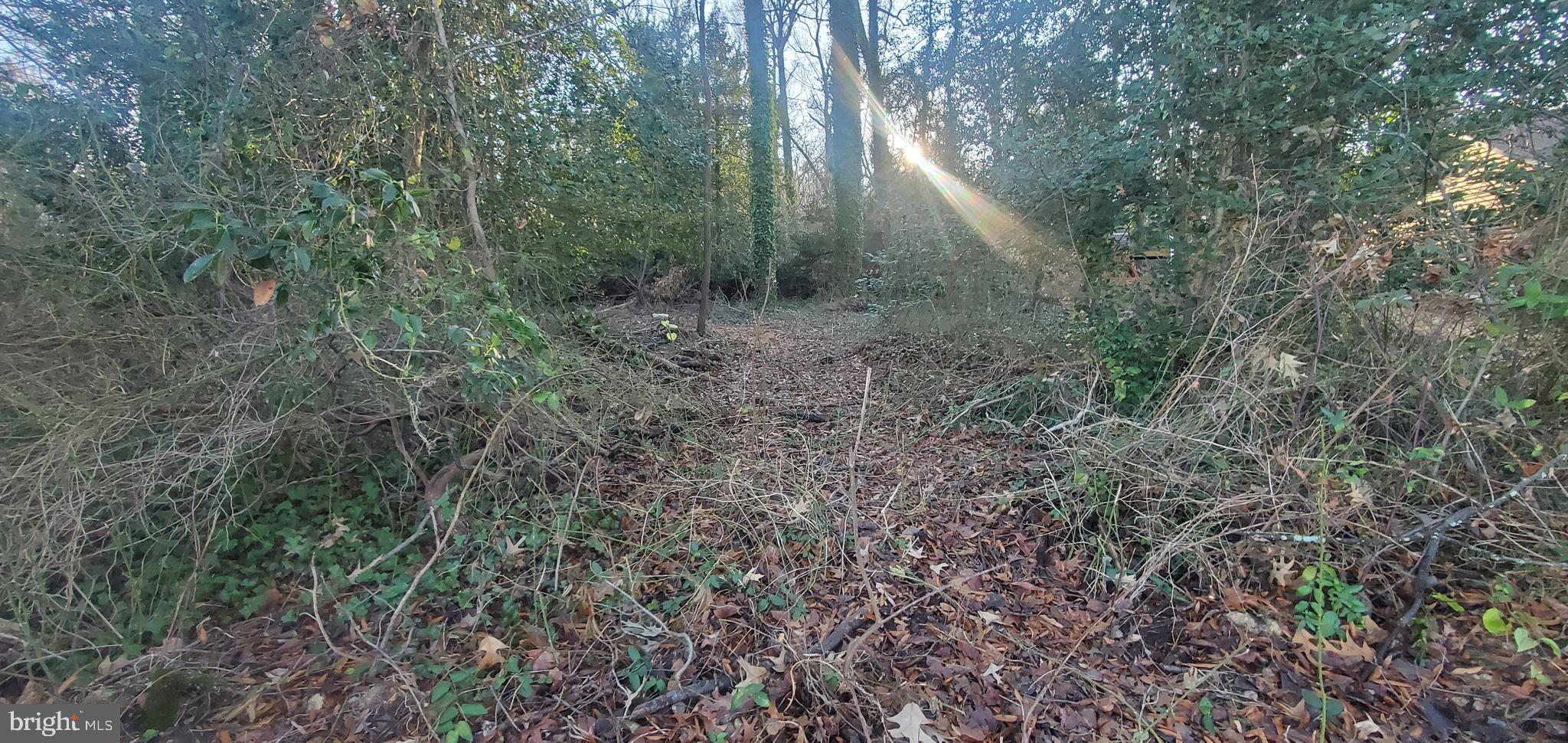 Gour Road Chesapeake City, MD 21915 - Photo 2 of 4