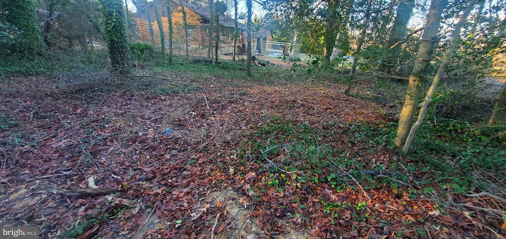 Gour Road Chesapeake City, MD 21915 - Photo 3 of 4