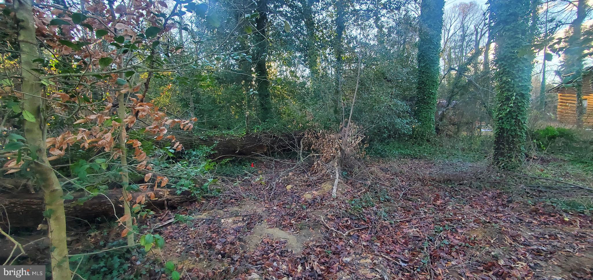 Gour Road Chesapeake City, MD 21915 - Photo 4 of 4