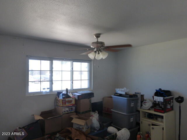 313 Fairhaven Road Kearny, AZ 85137 - Photo 8 of 15 P1040609