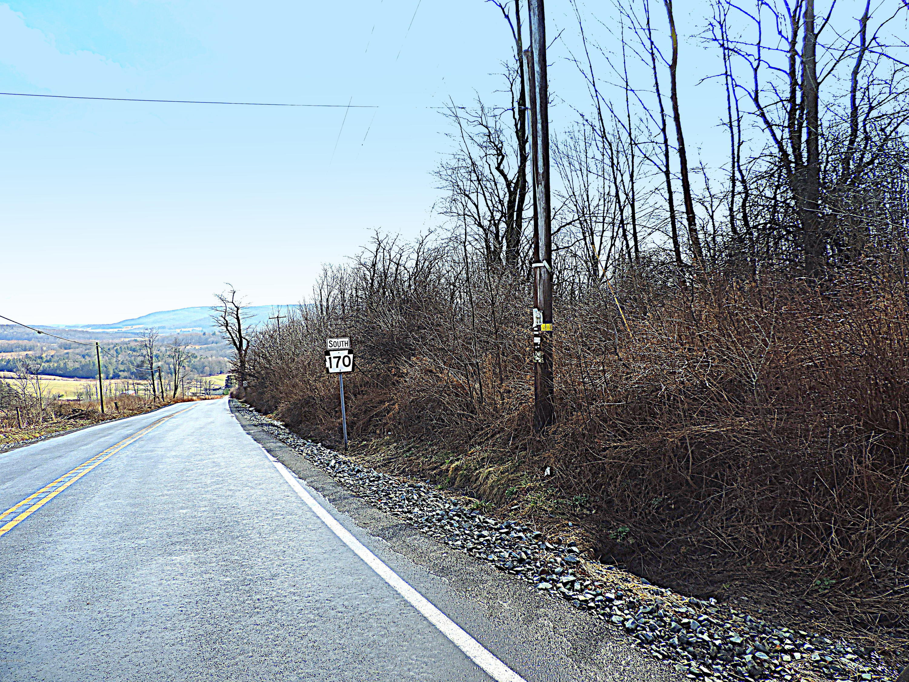 670 & Route Pleasant Mount, PA 18453 - Photo 19 of 20 20 Acs. Rte170 & 670