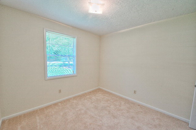 258 Anneswood Road Augusta, GA 30907 - Photo 6 of 13