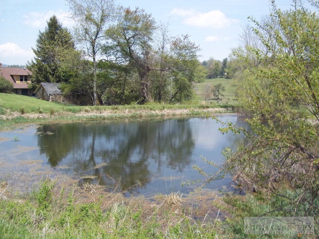 2729 Pine Swamp Road Sparta, NC 28675 - Photo 2 of 28 Gallery Image 2