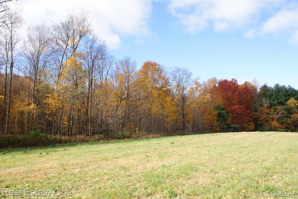 B Millville Road Lapeer, MI 48446 - Photo 7 of 16