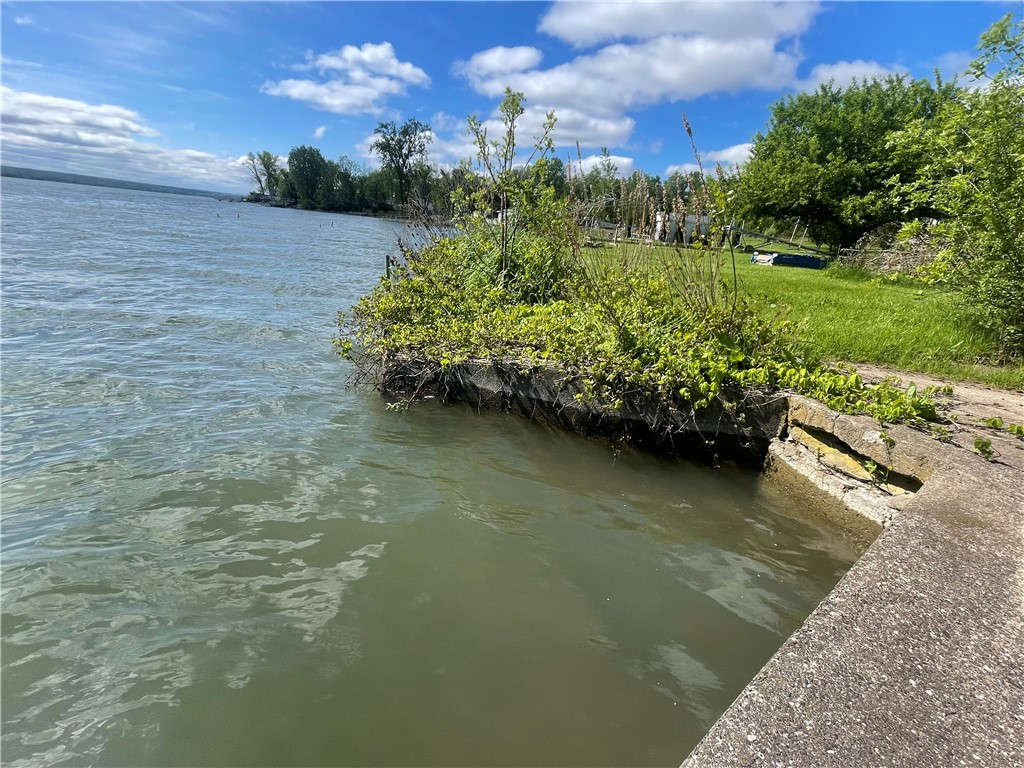 0 Lower Lake Road Seneca Falls, NY 13148 - Photo 3 of 20